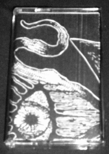 Broken Spirit : Broken Spirit - Obskuritatem